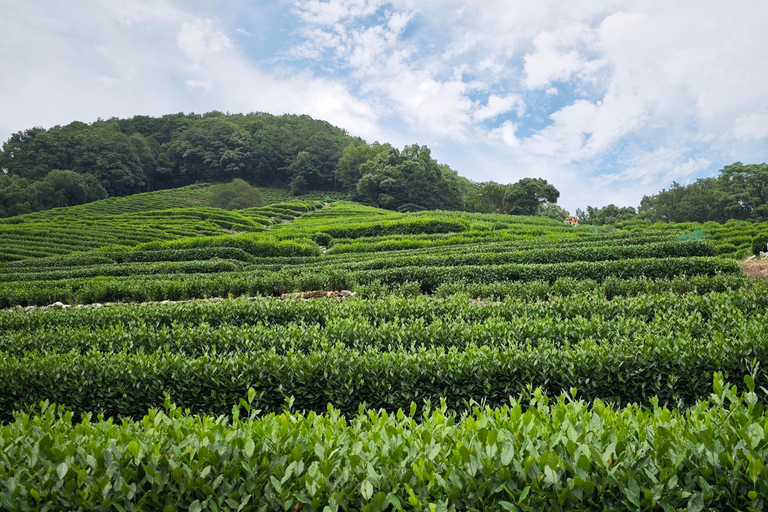 From Shanghai: Hangzhou Private Day Trip with Bullet Train