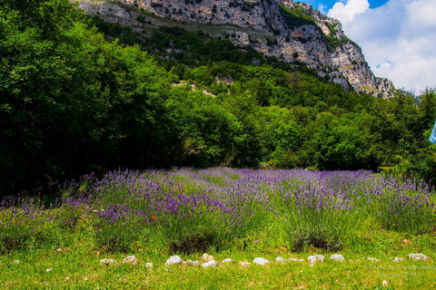 Viaggio in campagna in Provenza