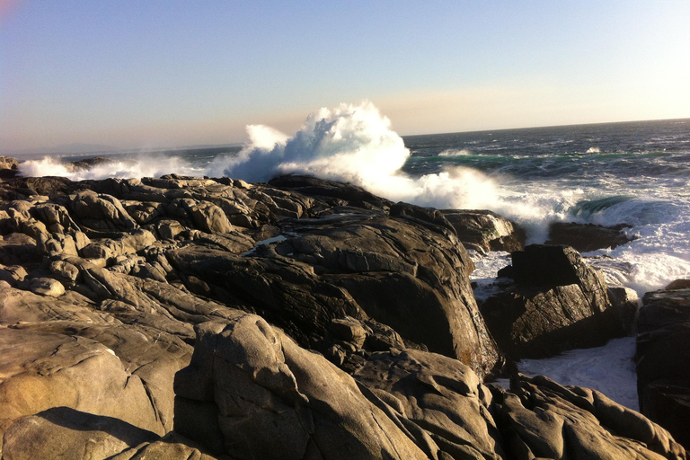 Exclusive Zapallar Walk, Luxury Mansions & Cachagua Wildlife