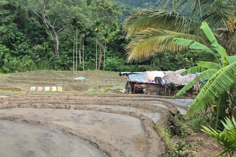 Esplora le cascate iconiche di Ella con un&#039;avventura panoramica in tuk-tuk
