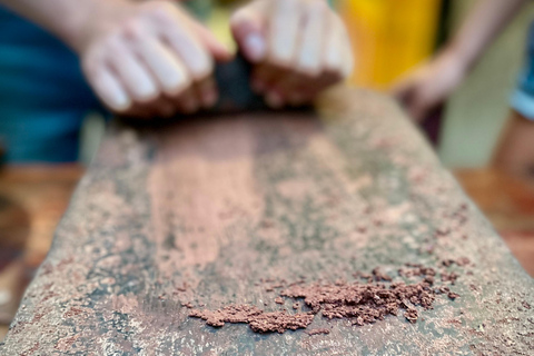 San Jose: Cacao &amp; Chocolate Workshop