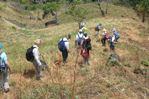 Trekking z Kandy do Ella