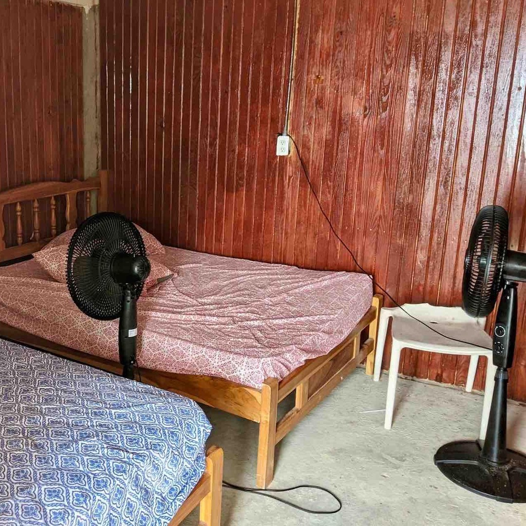 Galería de fotos para redes