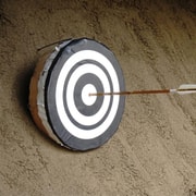 Nagoya: Private Kyudo Archery Lesson at a Working Dojo