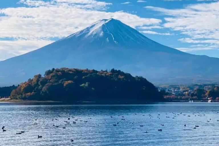 Tokyo: Mount Fuji and Hakone Hidden Gems Tour