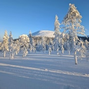 Randonnée en raquettes à neige jusqu'au Kellostapuli et expérience gastronomique