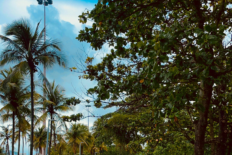 Río de Janeiro: Recorrido en bicicleta por el centro de la ciudad y la costa