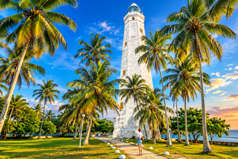 Tangalle: Mirissa Whale Watching & Dondra Lighthouse Tour