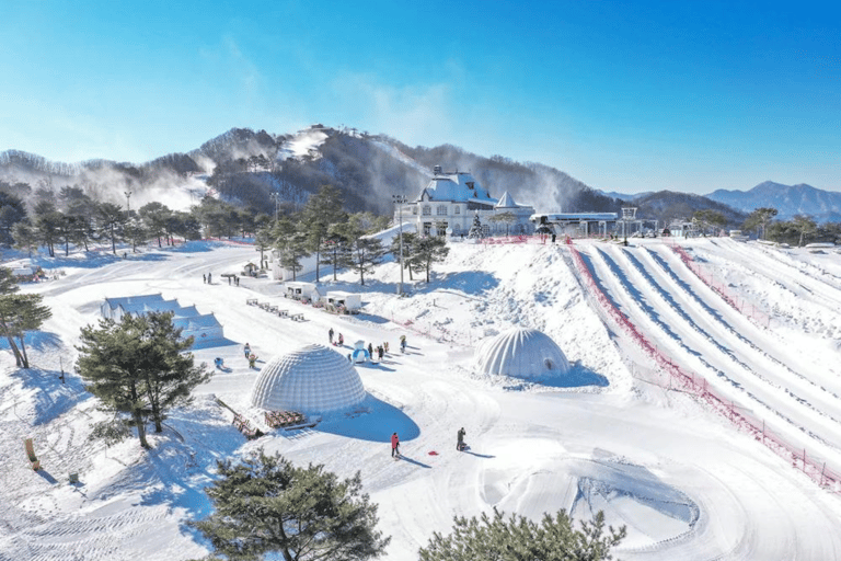 Seoul: SnowyLand in Vivaldi Park with Nami or Alpaca Group Tour with Alpaca World from Hongik University Station