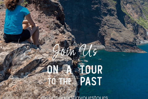 VW VAN Tours | NORDESTE