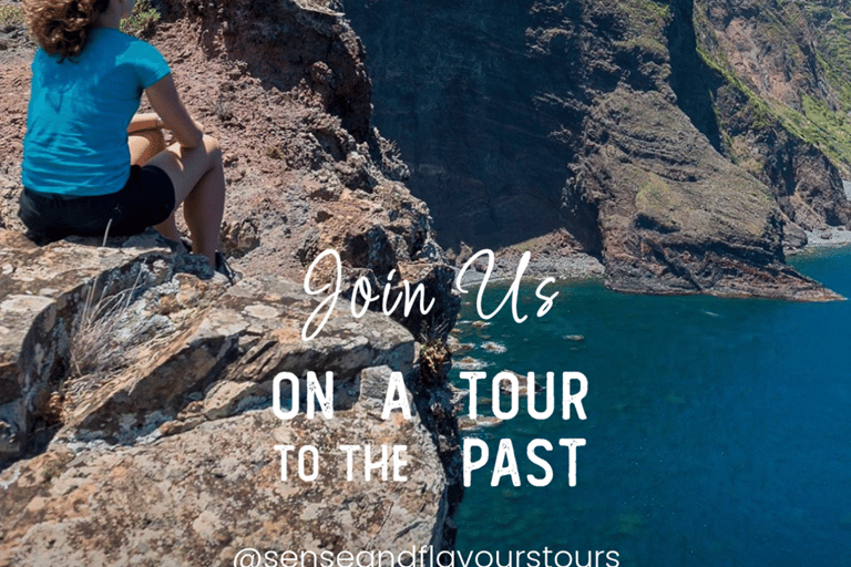 VW VAN Tours | NORDESTE