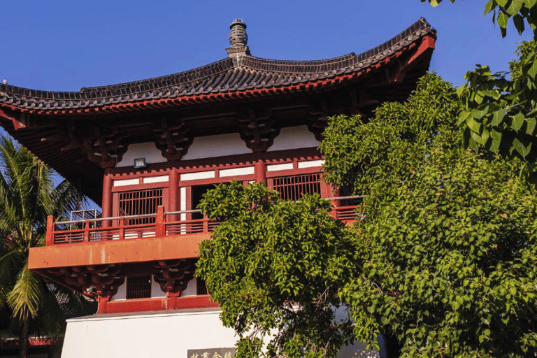 سانيا: تذكرة وسيارة جولة سياحية ثقافية في منطقة نانشانسانيا: تذكرة وحافلة سياحية لمنطقة نانشان الس