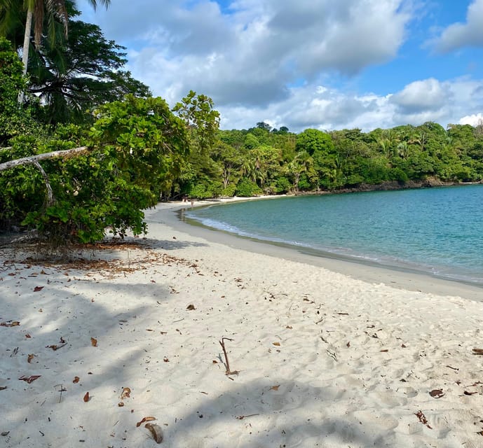 Manuel Antonio Park Naturalist Guided Tour GetYourGuide
