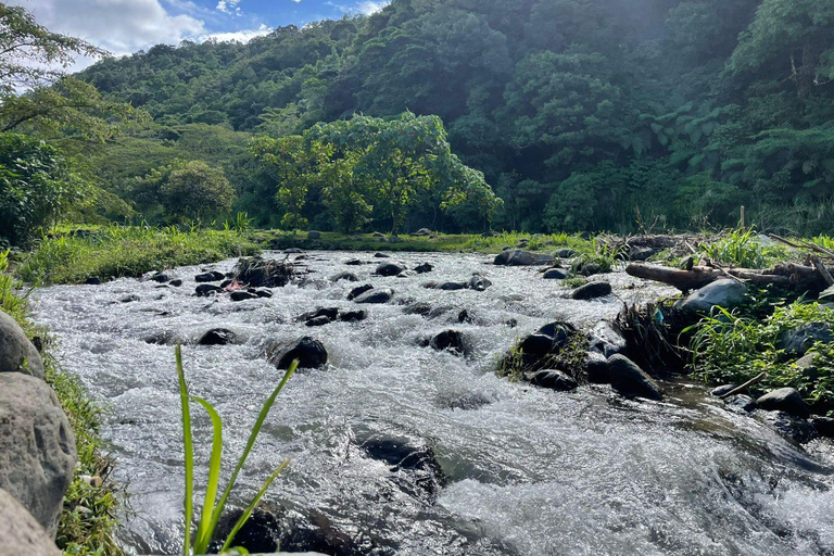 Boquete: Guided E-Bike Panoramic Tour