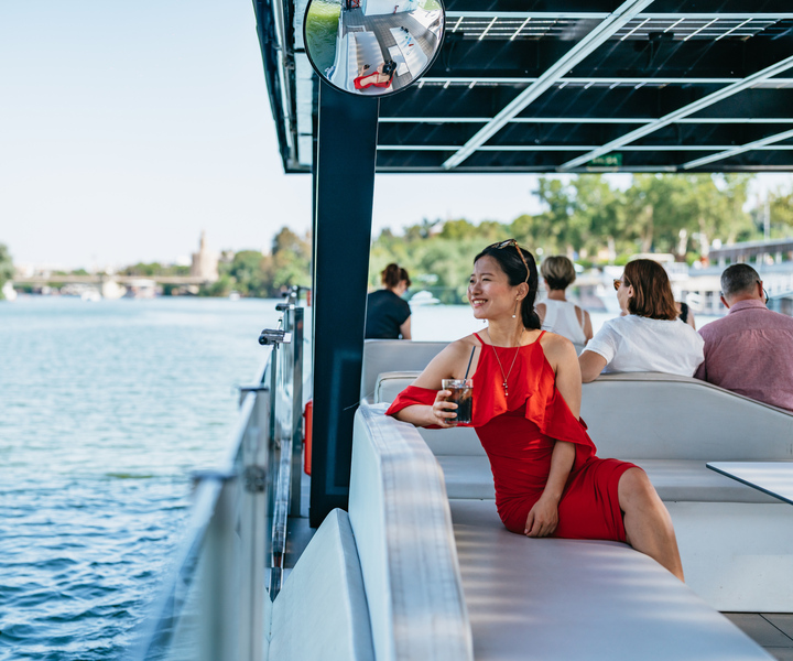 Seville: 1-Hour Guadalquivir River Sightseeing Eco Cruise
