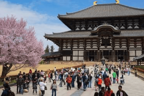 Nara: Private Full-Day Tour with Licensed Guide