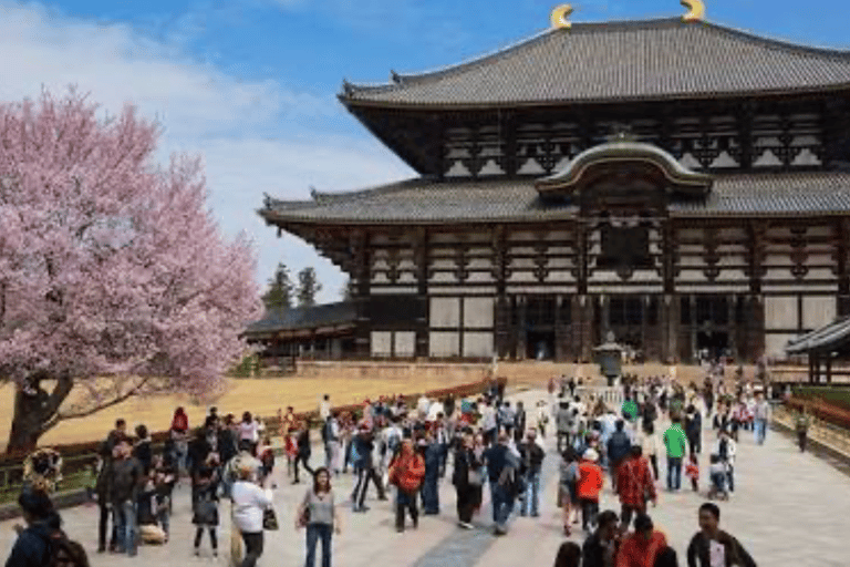 Nara: Private Full-Day Tour with Licensed Guide