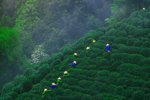Hangzhou: Lingyin Temple & Longjing Tea Slow Day Experience Hangzhou Lingyin Temple & Longjing Tea Slow Day Experience
