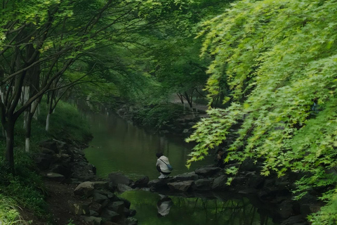 Hangzhou Nine Creeks · Dragon Well Half-Day Hiking Tour