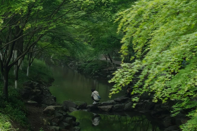 Hangzhou Nine Creeks · Dragon Well Half-Day Hiking Tour