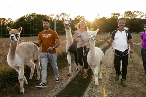 Mödling: Excursión panorámica guiada con alpacas y llamas