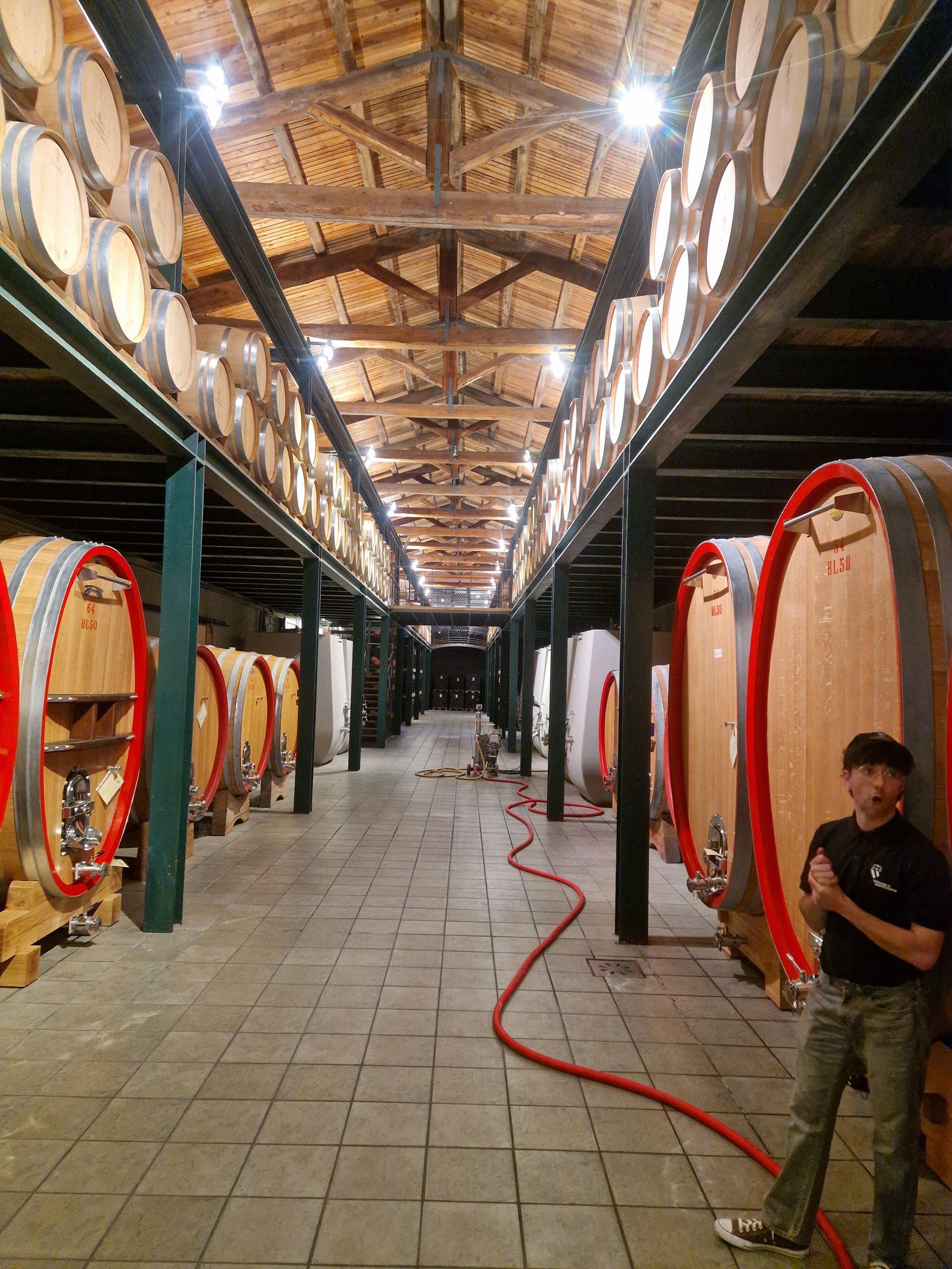 Barolo- und Barbaresco-Weintour mit einem ortskundigen Weinbauern als Tourguide.