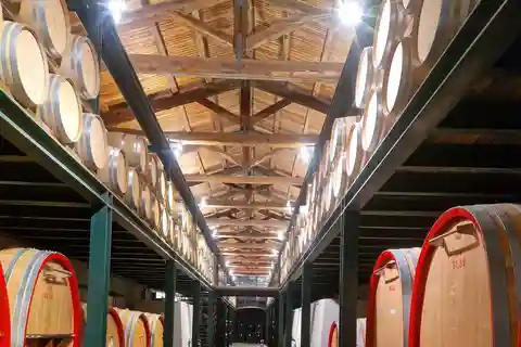 Tour del vino delle Langhe con un enologo