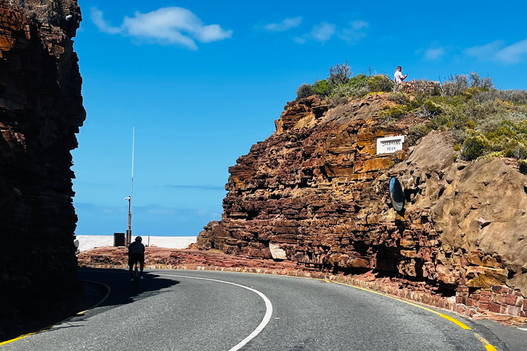 Robben Island, Penguins & Cape of Good Hope Adventure