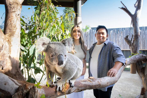 Blue Mountains Tour w/Lunch: Scenic World, Zoo & Koala Photo