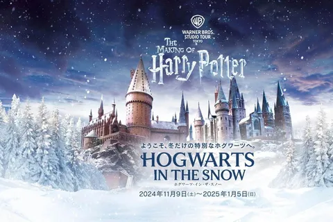 Tokyo: Shibuya Sky and Harry Potter Guided Visit