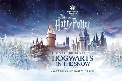 Tóquio: Visita guiada a Shibuya Sky e Harry Potter