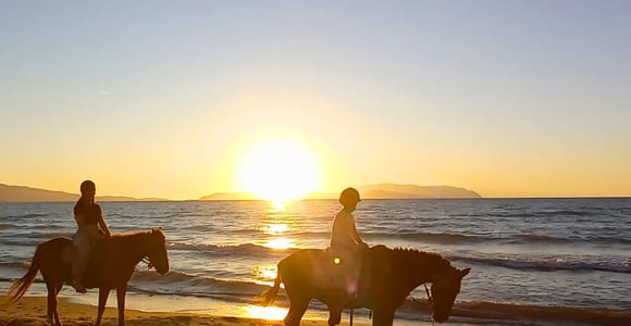 Kuşadası: VIP Horseback Riding and Sunset Beach Safari