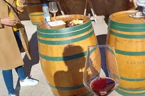 Madrid Winery Tour with Tasting & Sommelier Guide