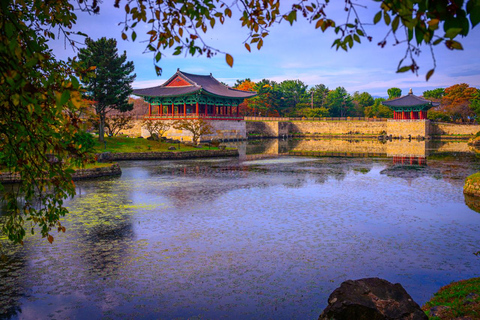 Full-Day Royal Gyeongju Tour: Discover Ancient History