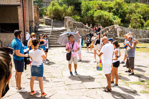 Pompeii: 2 uur durende wandeltour voor groepen met Skip-the-Line optie