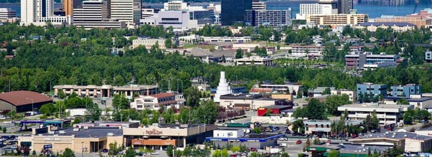 Tour della città di Anchorage con salmone selvaggio affumicato e salsiccia di renna