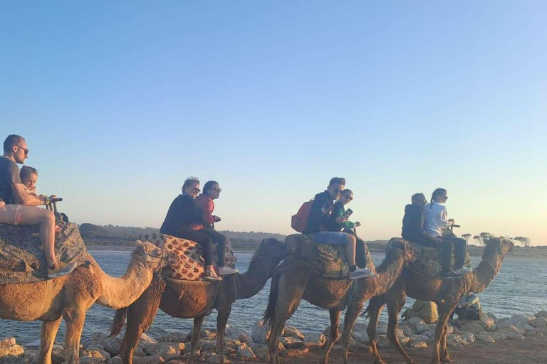 Agadir: Camel Ride by Souss River with Hotel Pickup