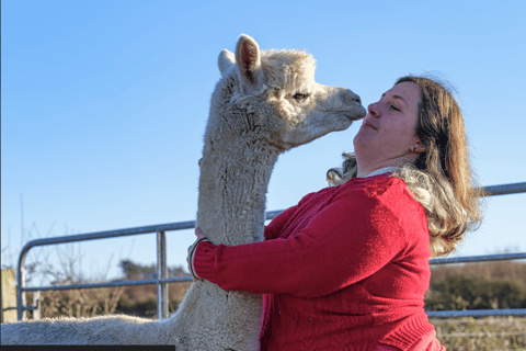 Loop Head: Alpaca Experience ze spacerem i przędzeniem wełny