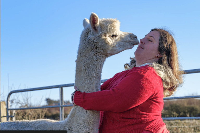 Loop Head: Alpaca Experience ze spacerem i przędzeniem wełny