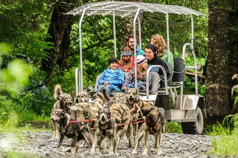 Seward: Turning Heads Kennel Tour & Dog Sled Ride
