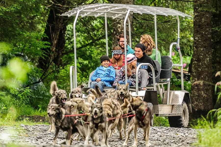 Seward: Turning Heads Kennel Tour & Hundeschlittenfahrt. Foto: GetYourGuide