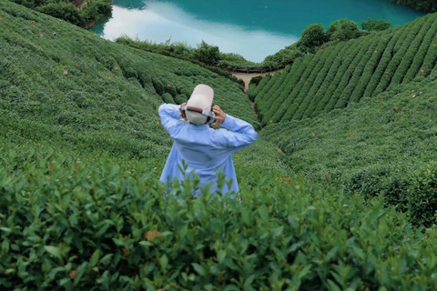 جولة شاي هانغتشو: القرى والبحيرات وتجربة الشاي المخفوقدليل للغة الإنجليزية والصينية