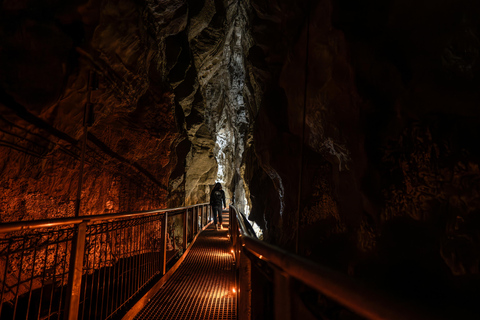 Vanuit Auckland: Waitomo Grotten en Kiwi Huis Groepstour