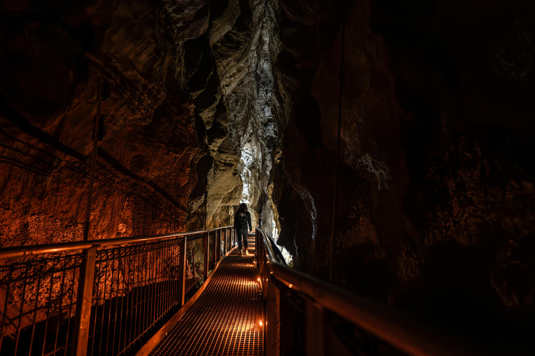 Von Auckland aus: Waitomo-Höhlen und Kiwi-Haus Gruppentour