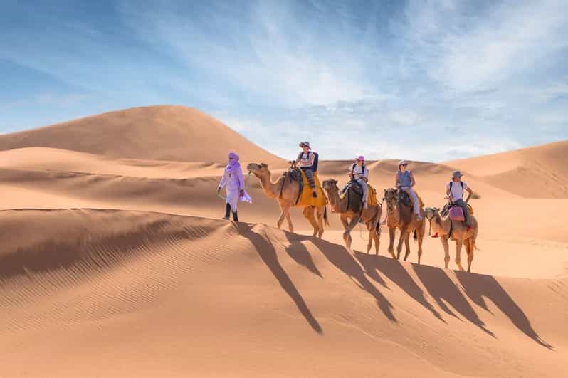 Merzouga : Nuit dans un campement de luxe avec promenade à dos de chameau et dîner. - dromadaire