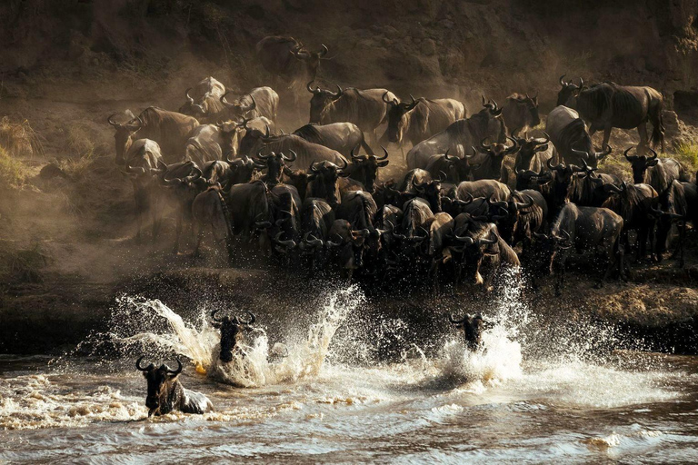 Serengeti : 7 jours de safari Grande Migration avec volsSerengeti : 7 jours de safari de la Grande Migration avec vols