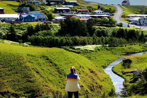 South Coast Private Tour with Buggy Ride from Reykjavik Private Tour for 1-3 Pax