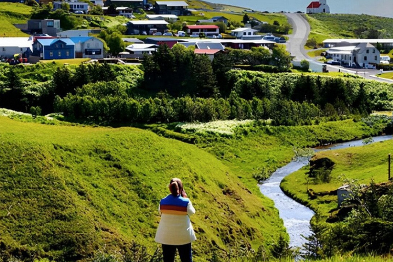 South Coast Private Tour with Buggy Ride from Reykjavik Private Tour for 1-3 Pax