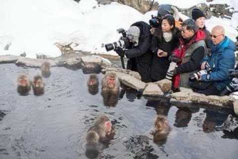 From Tokyo: Snow Monkey Private Customize Day Tour From Tokyo: Snow Monkey Private Customized tour