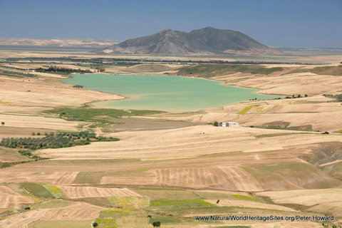 From Tunis: Utica, Ghar el-Melh, and Bizerte Day Trip
